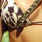 bikini-1152