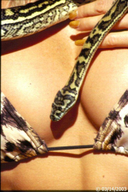 bikini-1148
